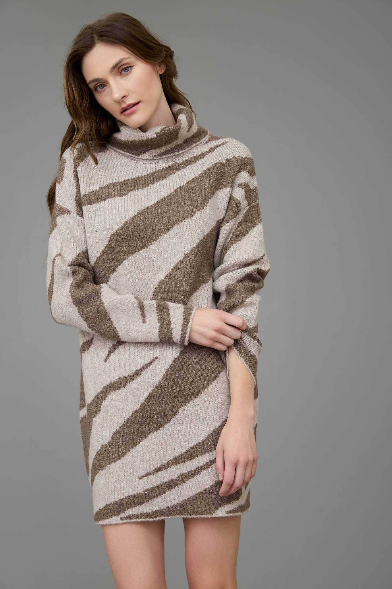 Long Sleeve Zebra Turtleneck Sweater Dress