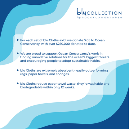 LIMONE blu Cloths Reusable Sponge-Cloth, Set of 2